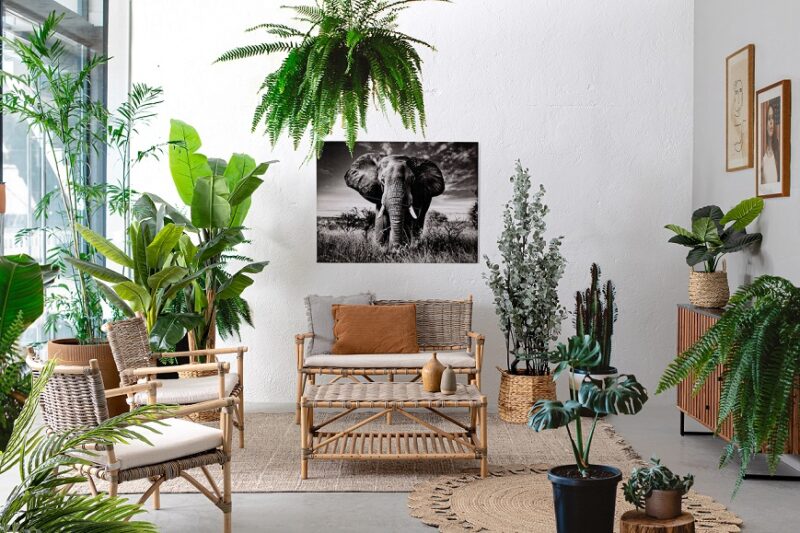 Tarifa - Conjunto de terraza - Imagen 12