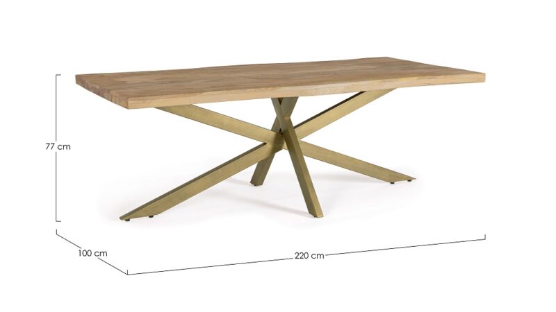 Jaidev - Mesa Comedor 220 x 100 cm - Imagen 3