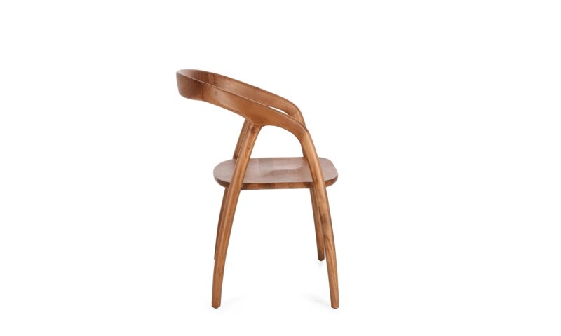 Dotty - Silla Natural - Imagen 2